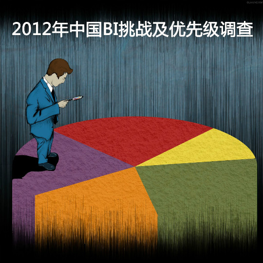 2012年中国BI优先度与挑战调查全面启动