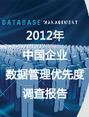2012年中国企业数据管理优先度调查报告