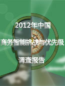 2012年中国商务智能挑战与优先级调查报告