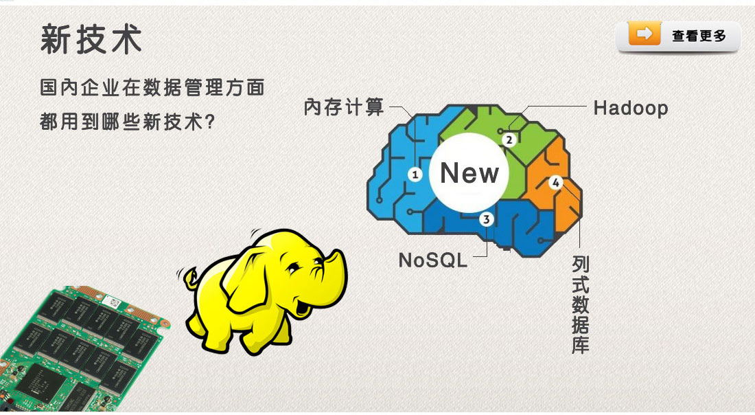 我们围绕目前的一些热门技术对用户进行了访问，其中包括内存计算、NoSQL数据库、列式数据库、固态硬盘以及Hadoop MapReduce等。22%的企业表示他们已经使用了内存计算技术，56%的企业表示对于内存技术仍然处于观望之中，而只有11.9%的企业表示不会使用内存技术。